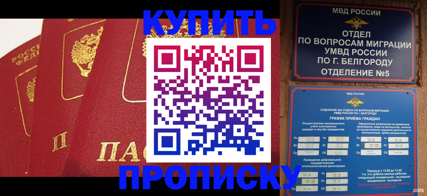 прописка для школы в Череповце
